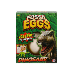 Fosil Dinozor Yumurtası