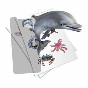Super Sea Creatures AR Uyumlu Sticker Seti